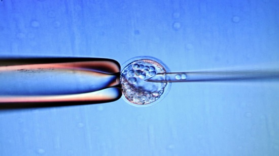 Japan newborn gets liver stem cells in world first
