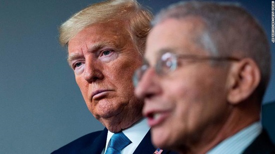 The ludicrous plot against Fauci