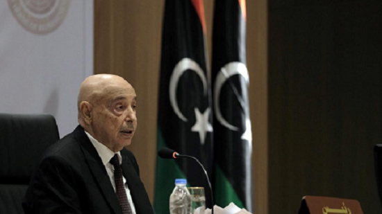 Libya parliament authorises Egypt intervention in principle
