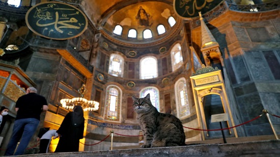 Gli the cat can stay even as Istanbul’s Hagia Sophia changes
