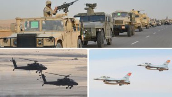 Egyptian Armed Forces destroys 317 terrorist hideouts in Sinai
