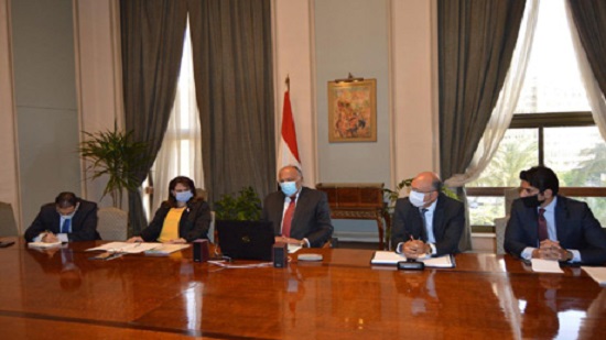 Egypts FM partakes in AU meeting on COVID-19 pandemic on behalf of Sisi
