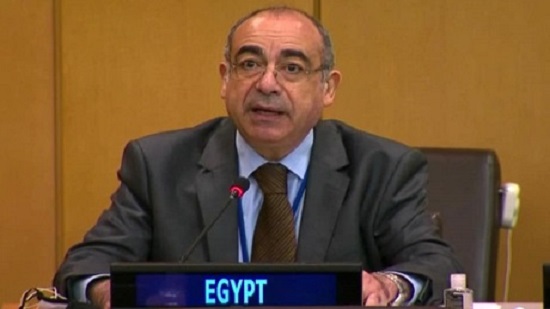 Egypt maintains membership of UN Peacebuilding Commission
