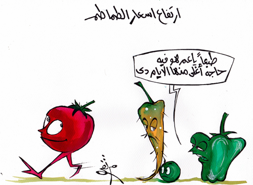 Commenting on the high prices of the Tomatos in Egypt 
