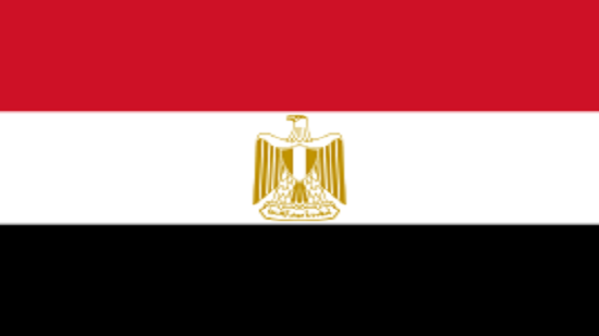 A decade of Egyptian foreign policy