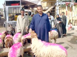 Fatwa orders hygienic slaughter during Eid 