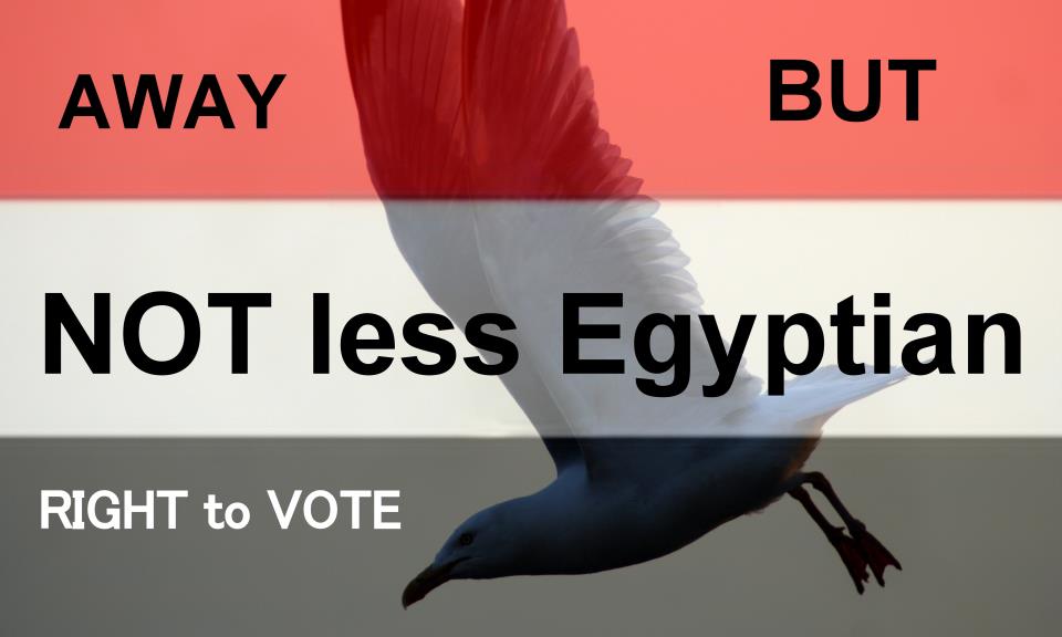 Egyptians abroad begin online voter registration
