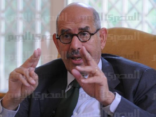 ElBaradei holds meeting to discuss elections, future of Constitution Party