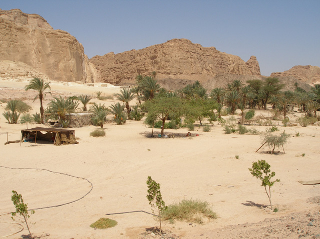 1,600 Extremists in Egypt's Sinai Desert