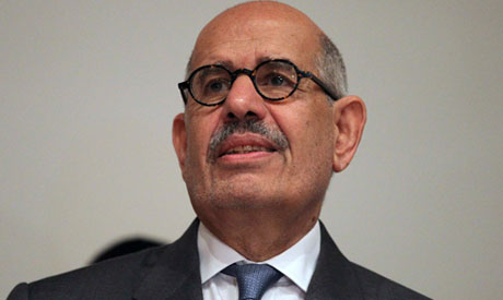 ElBaradei beefs up Constitution Party leadership