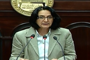 Member of 50-members committee advocates quota for women and Copts