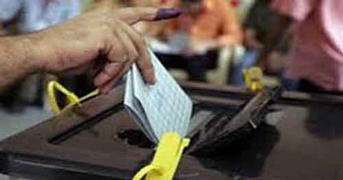 Great numbers of Egyptians abroad vote over new constitution