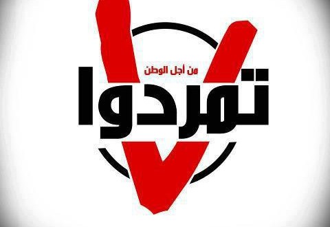 “Rebel” supports al-Sisi for presidency