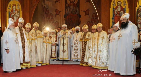 Pope Tawadros ordains new priests