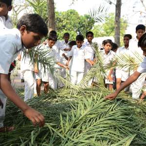 Palm Sunday around the world