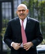 Baradei sets up pro-change front 