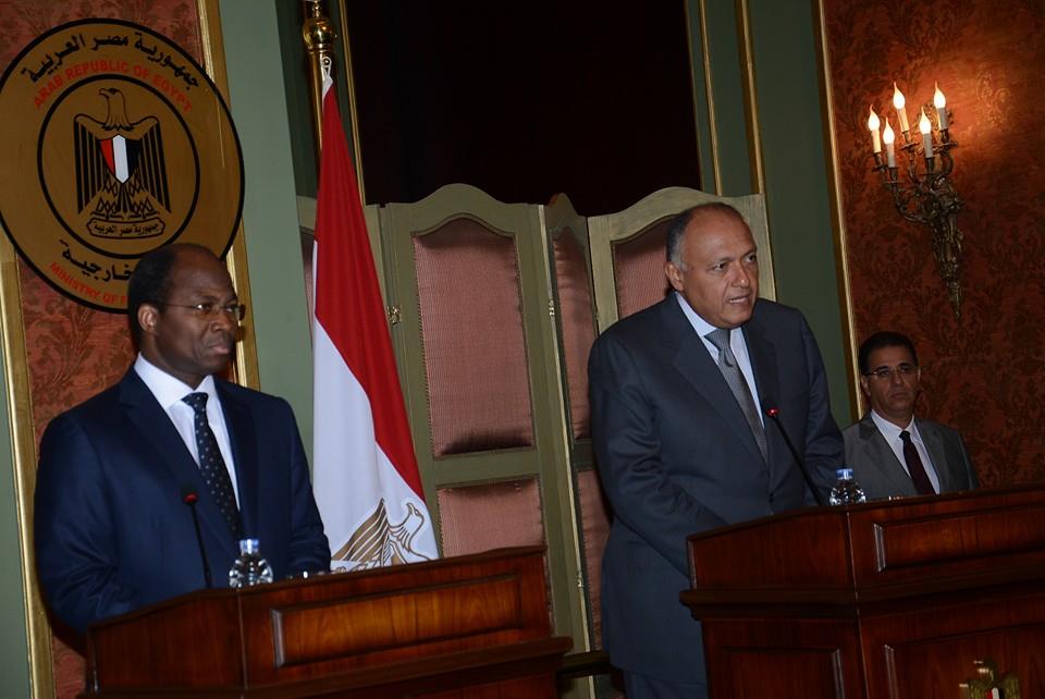  
Jeddah talks expected to support Egypt's efforts in fighting terrorism: foreign minister