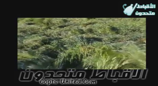 Copts at Galaa village were prevented from celebrating Palm Sunday