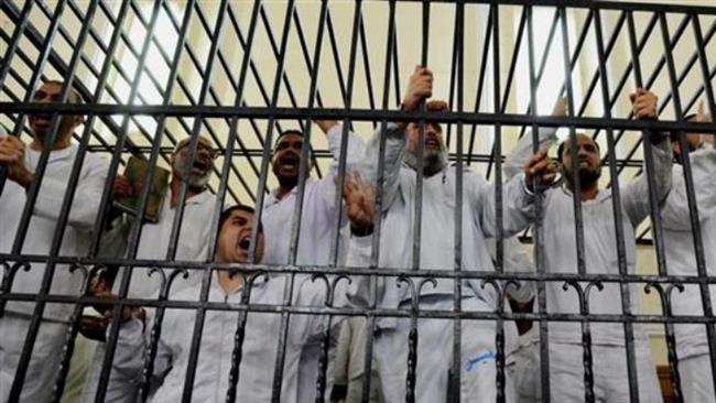 Egypt refers 187 Muslim Brotherhood members to military court