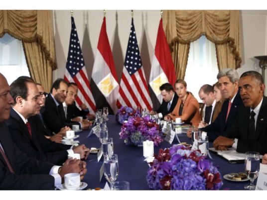 Egypt, US discuss fostering expertise exchange in cultivating rice, cotton
