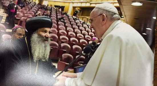 Pope Francis meets with representative of the Coptic Orthodox Church