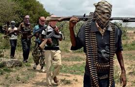 18 killed in Boko Haram attack in southeast Niger