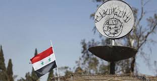 IS group seizes Syria villages near Turkish border: Monitor