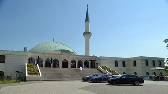 Islamic Center in Austria denounces stripping Minya Coptic lady off