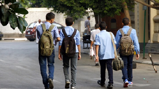 Egyptian ministry of education temporarily suspends licensing of international schools