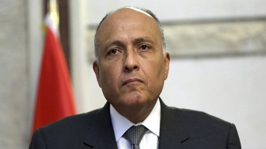 Egypt’s politics digest June 21