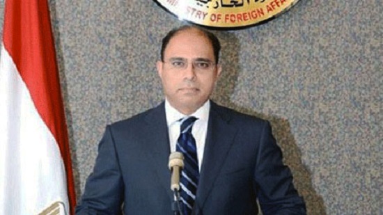 Foreign ministry slams Amnesty International for ‘incitement’ against Egypt in Regeni probe 