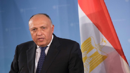 Turkey should focus on its own domestic problems: Egypt's FM