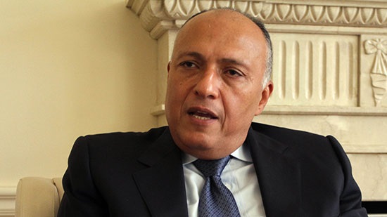 Egypt foreign minister meets vice-president of Libyan presidential council

