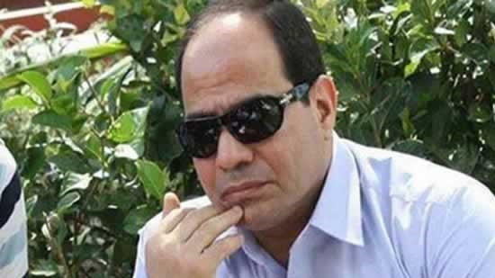 Western media blame Sisi for economic woes, Egypt responds
