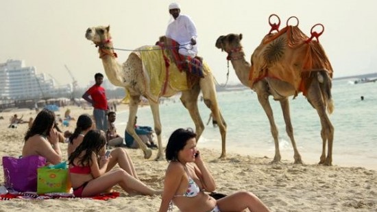 WTO recommends lifting travel ban on Egypt amid decline in tourists

