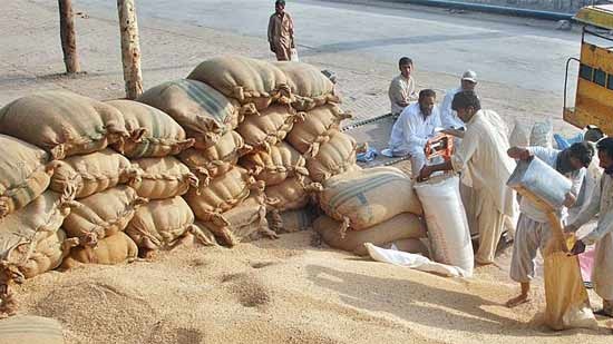Wheat reserves sufficient for 6 months: minister
