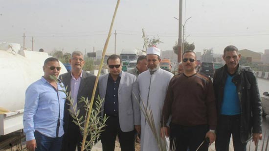 Mosques and churches plant olives at Beni Suef streets