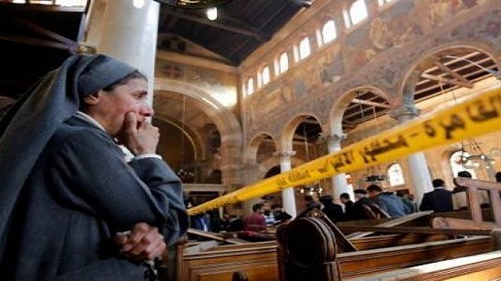Egypt slams Amnesty International, HRW reports on cathedral blast