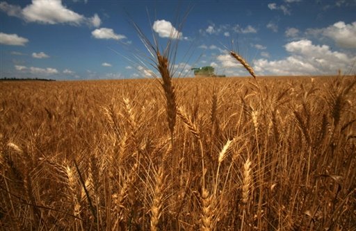 'US wheat quarantined'