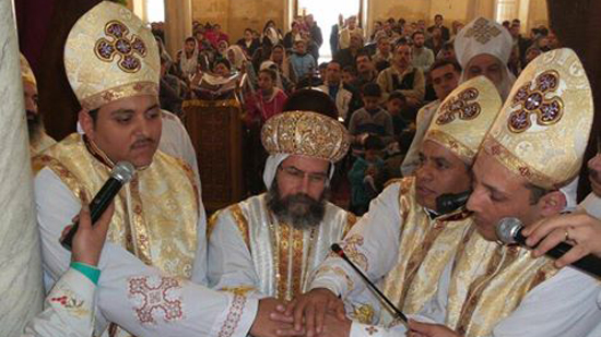 3 new priests ordained in Mit Ghamr