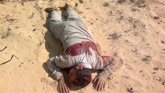 Army kills terrorists involved in the killing of Copts in Arish