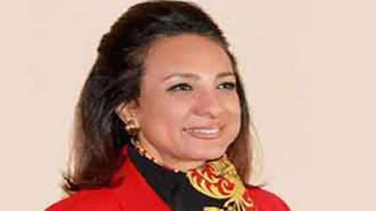 Egyptian-American parliamentary friendship association to be formed in Cairo: MP