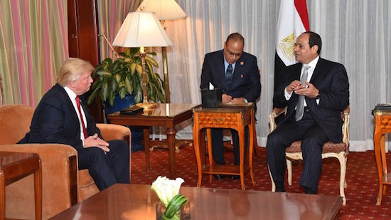 Al-Sisi to meet Trump in Washington next month: state-run newspaper