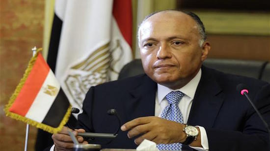Shoukry discusses situation in Libya and Syria with British counterpart