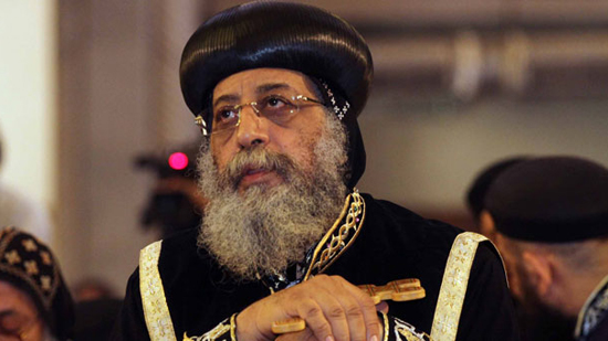Pope Tawadros: Copts are fighting for survival in Egypt