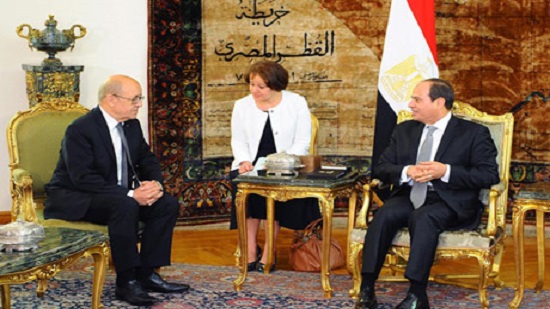 Intl community should take action to stop funding, arming of terror groups, Sisi tells French FM