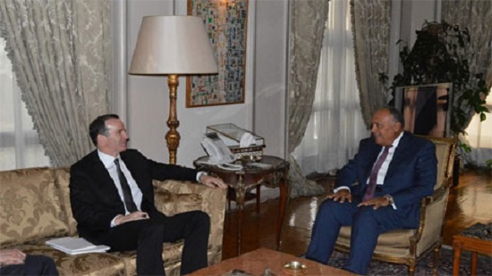 Egyptian FM discusses counter-terrorism efforts with US coalition envoy in Cairo