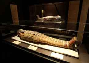 Hospital scan for Egyptian mummy in Essex