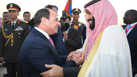 Egypts Sisi, Saudi Crown Prince stress joining efforts to counter terrorism and countries supporting it