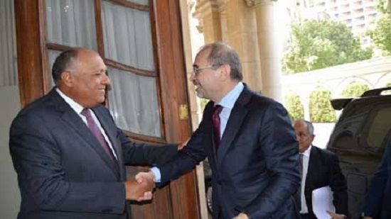Egypt foreign minister Shoukry calls for strategy to protect UNRWA from financial crisis